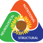 Profile picture of The Sunflower Trust
