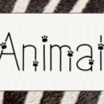 Profile picture of Animal Gift Ideas